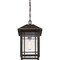 Quoizel Cedar Point Outdoor Hanging Lantern CPT1910PN - alternate 5